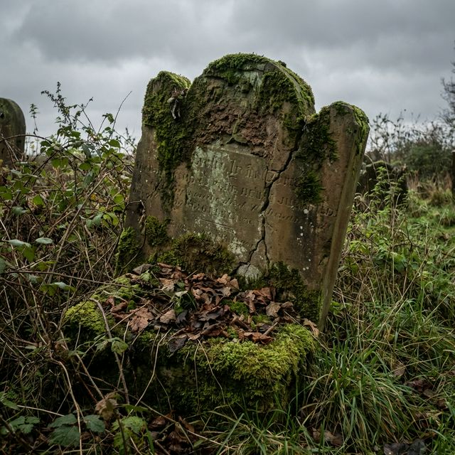Avant intervention - Entretien et fleurissement